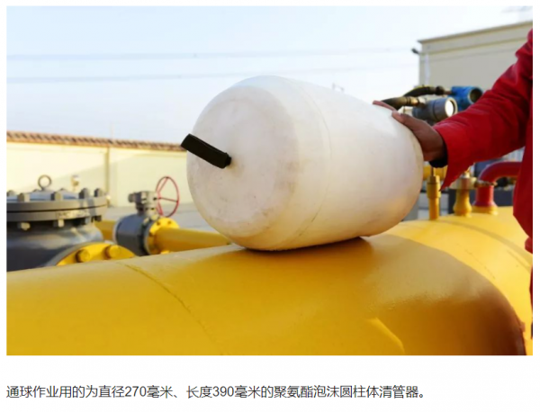 微信图片_20210511105646.png
